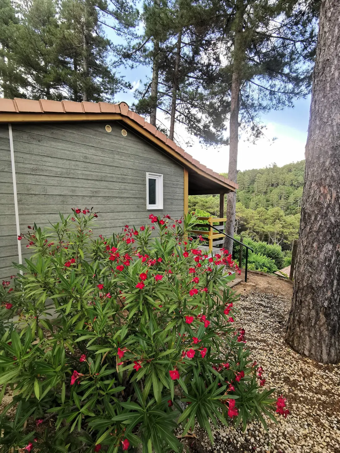 Ushuaïa Villages - Camping Les Pins d'Ucel 4 étoiles★★★★