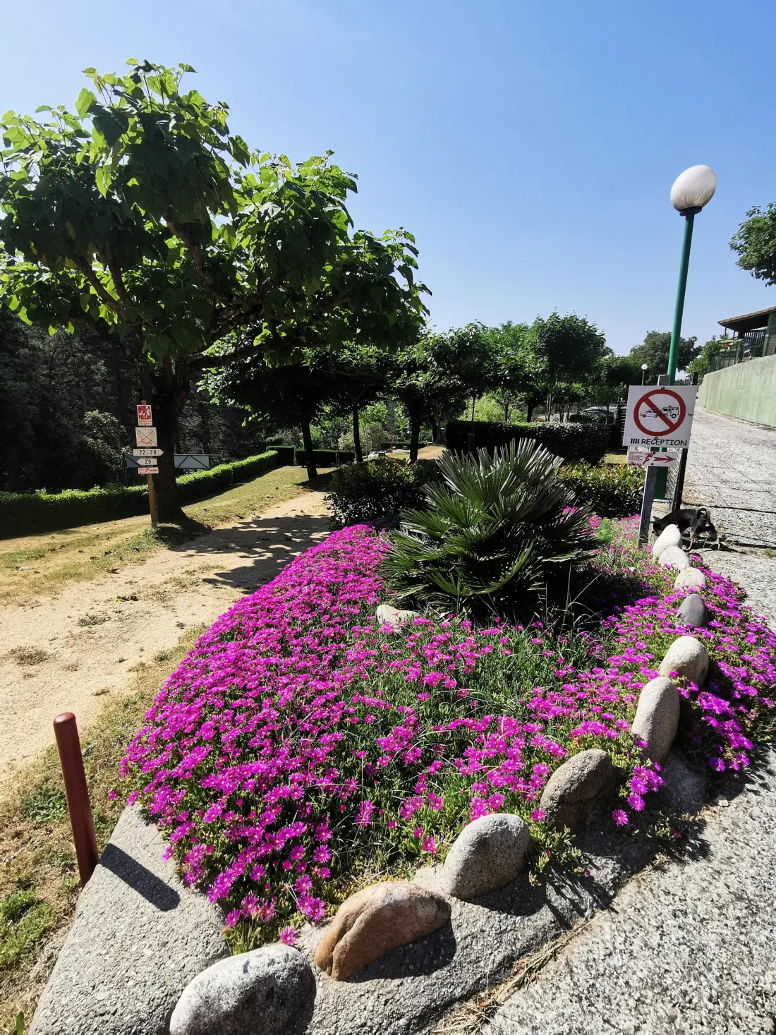 Ushuaïa Villages - Camping Les Pins d'Ucel 4 étoiles★★★★