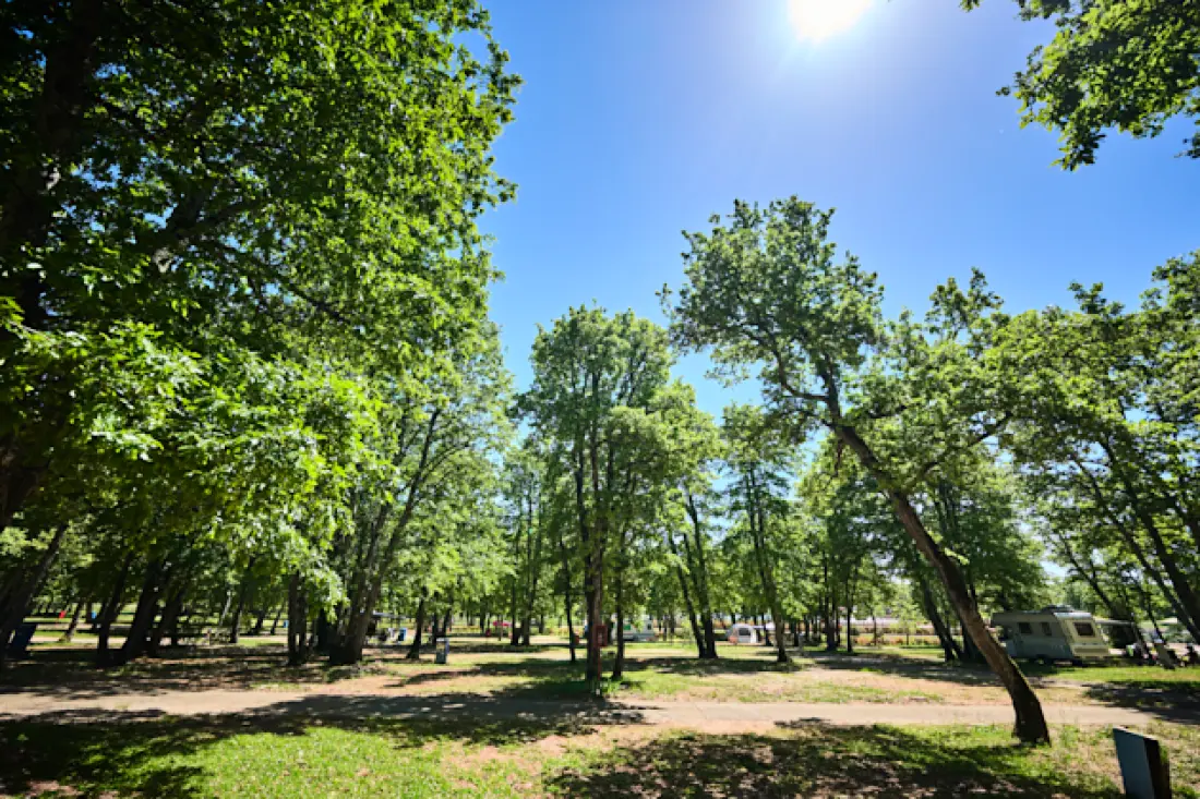 Campingpladser Park Umag4 Stjerner★★★★