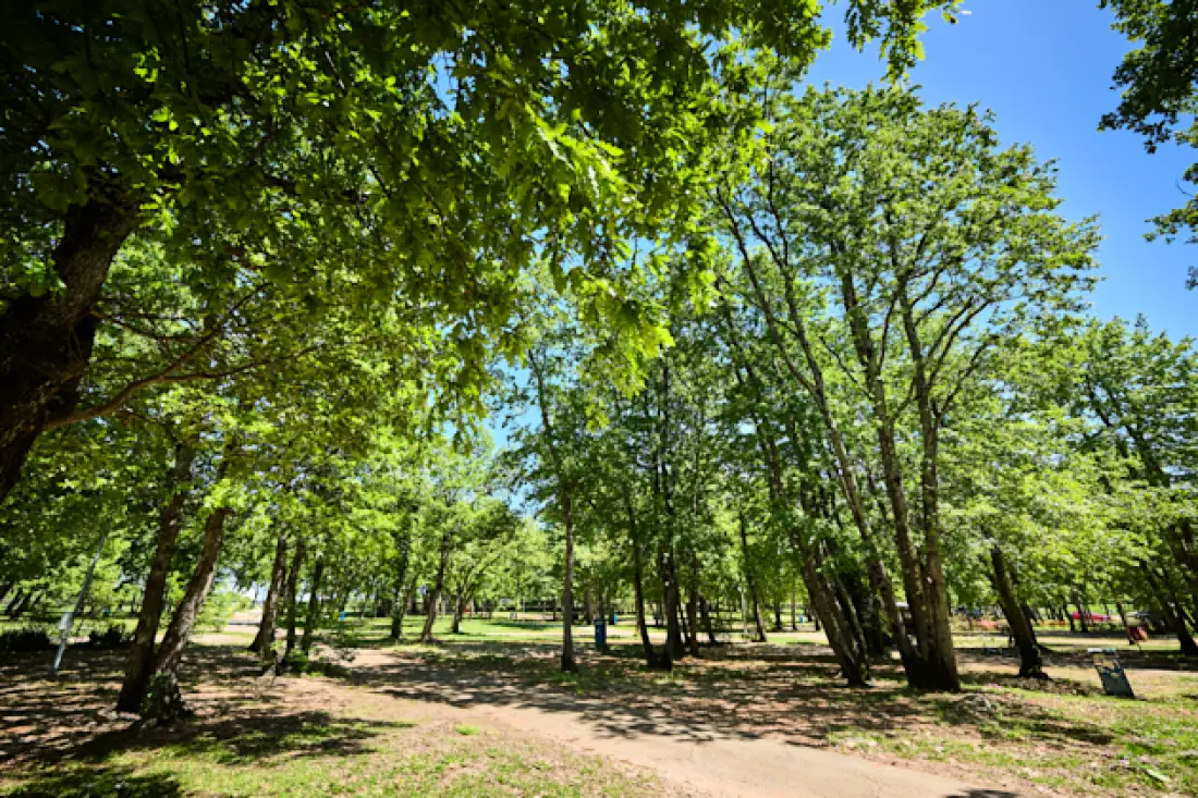 Campingpladser Park Umag4 Stjerner★★★★