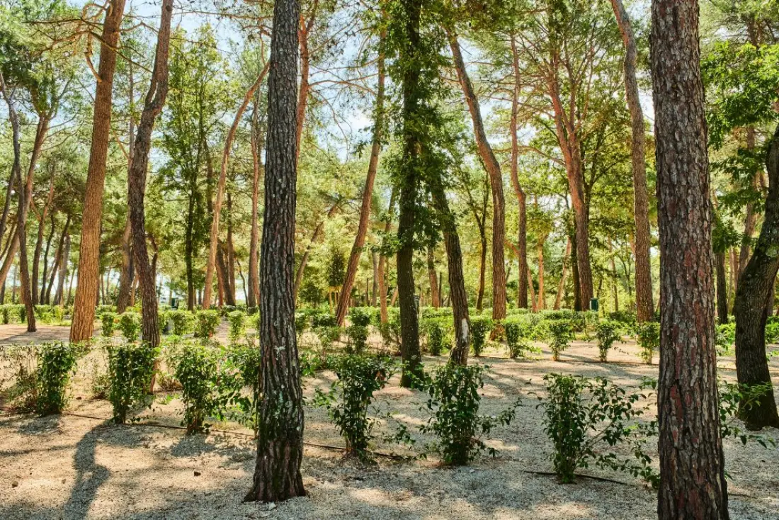 Camping Stella Maris4 Stjerner★★★★