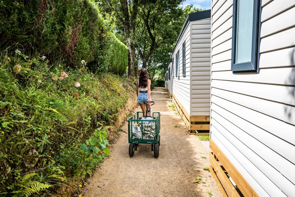 Camping Suhiberry 41 Stelle★