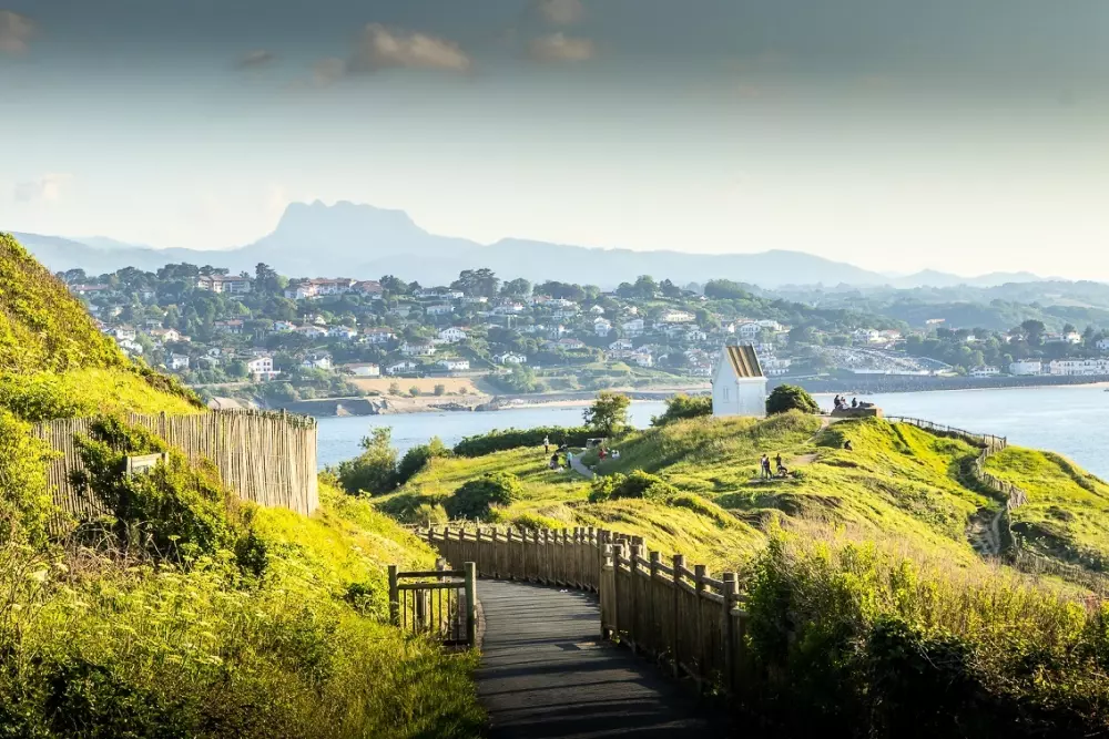 Campsite Suhiberry - Nie.