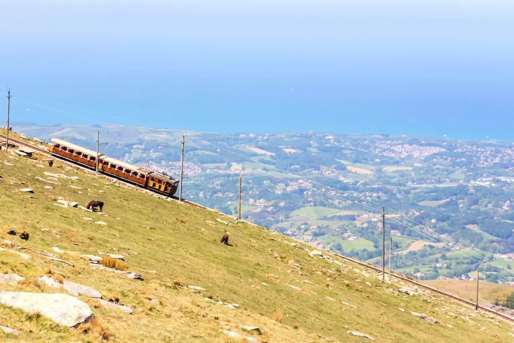 Campsite Suhiberry - Nie.