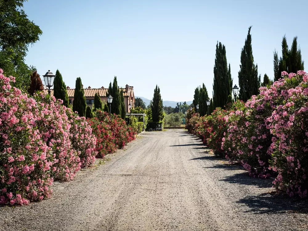 Borgo Verde Residence