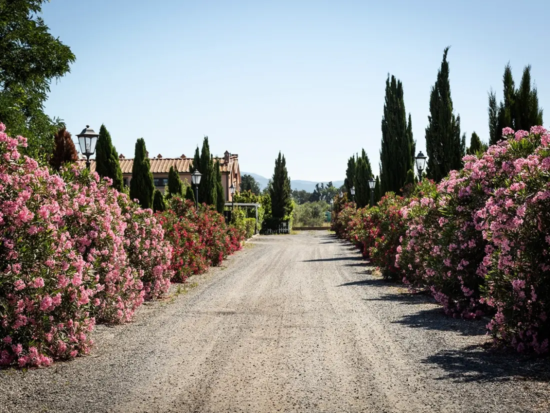 Residence Borgo Verde