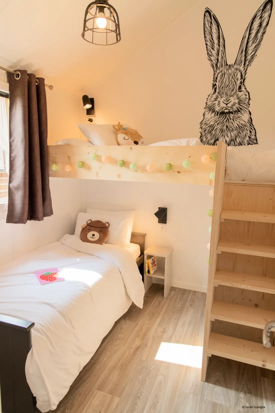 Damona Lodges #