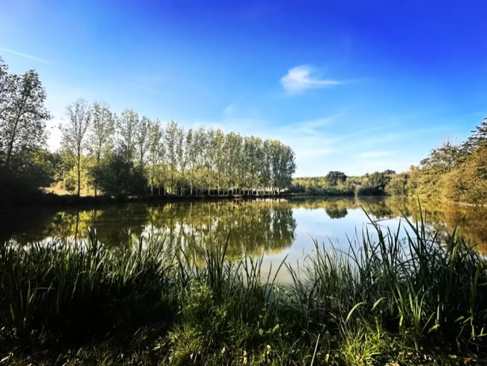 Damona Lodges 3 Sterne★★★