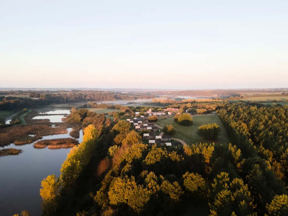 Damona Lodges #