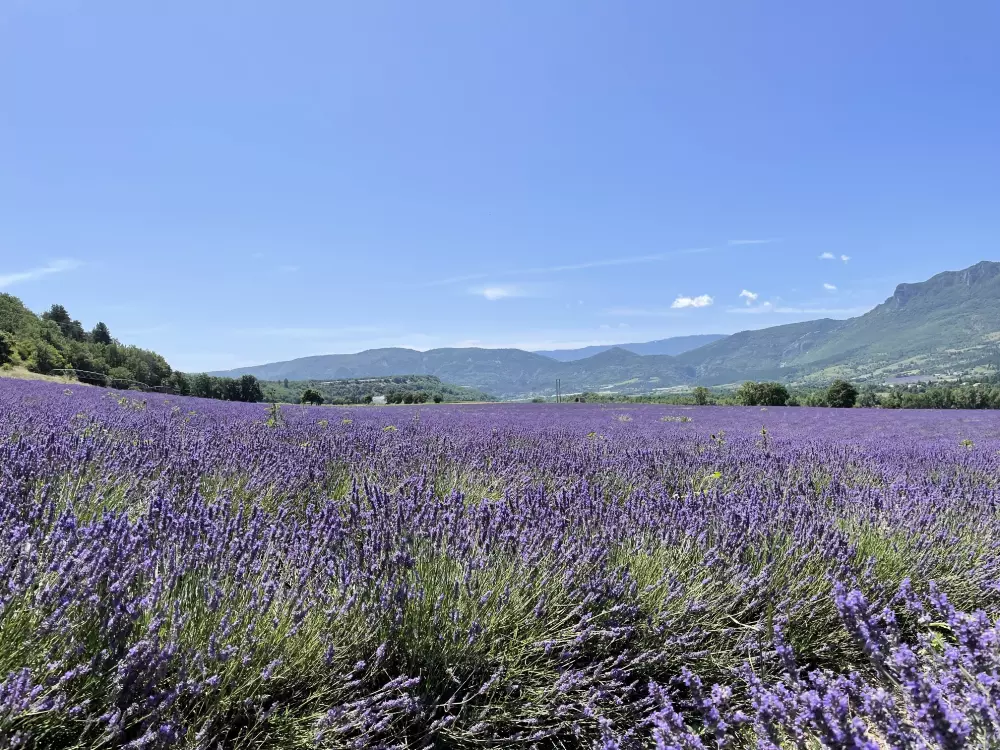 Camping Ushuaïa Villages Les Myotis 3 Csillagok★★★