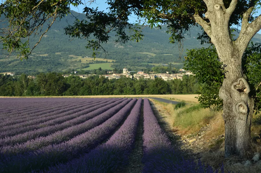 Camping Ushuaïa Villages Les Myotis 3 Csillagok★★★