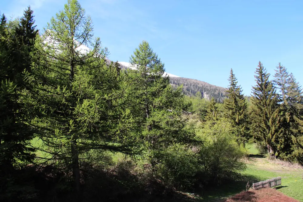 Residentie Les Alpages