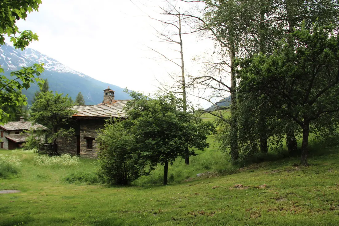 Residence Cheneviere 1