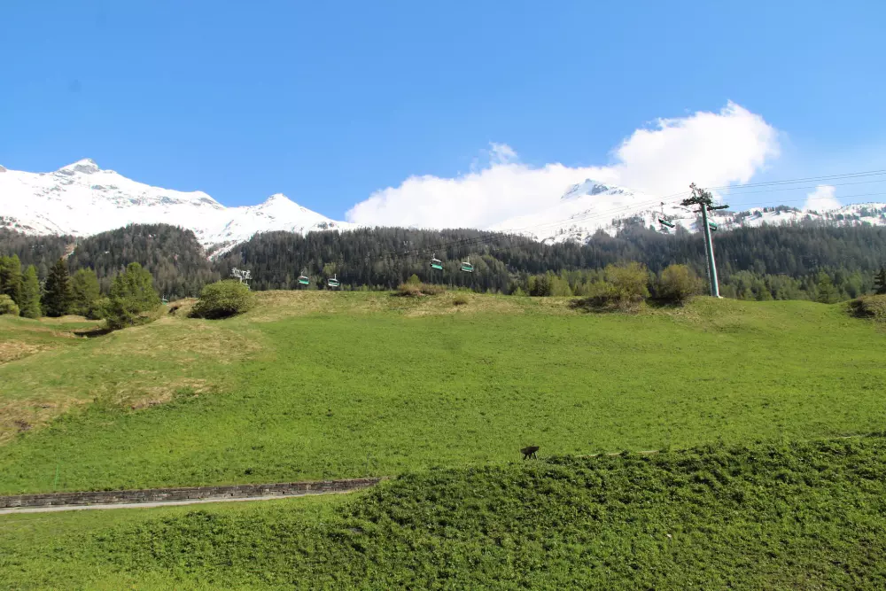 Residence Hauts De Val Cenis