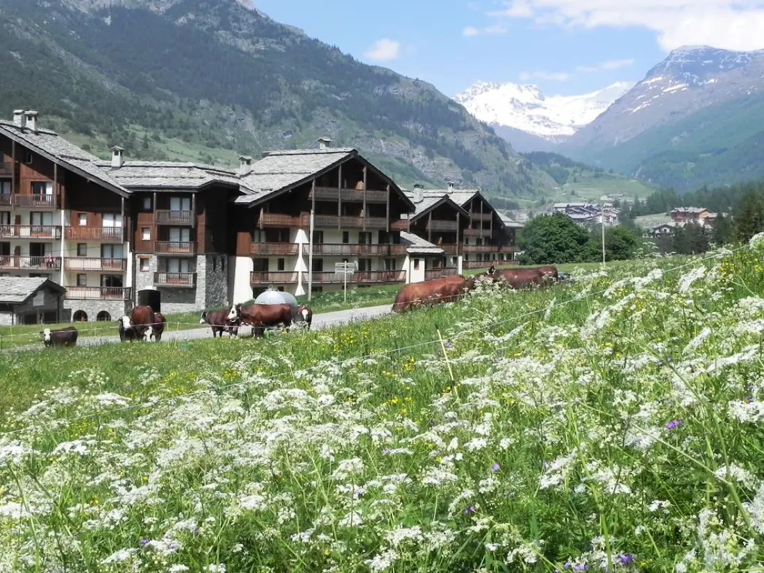 Rezydencja Lagrange Les Valmonts de Val Cenis 3 Gwiazdy★★★