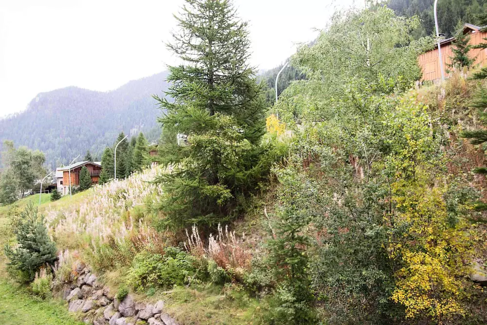 Chalets Du Thabor