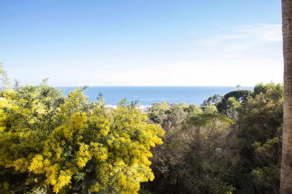 Résidence Logement D’exception Super-cannes Glaïeuls Avec Vue Mer, Piscines, Jacuzzi