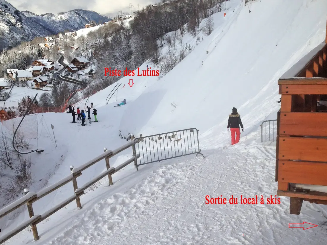 Campanule Chalets De La Vallee Gold