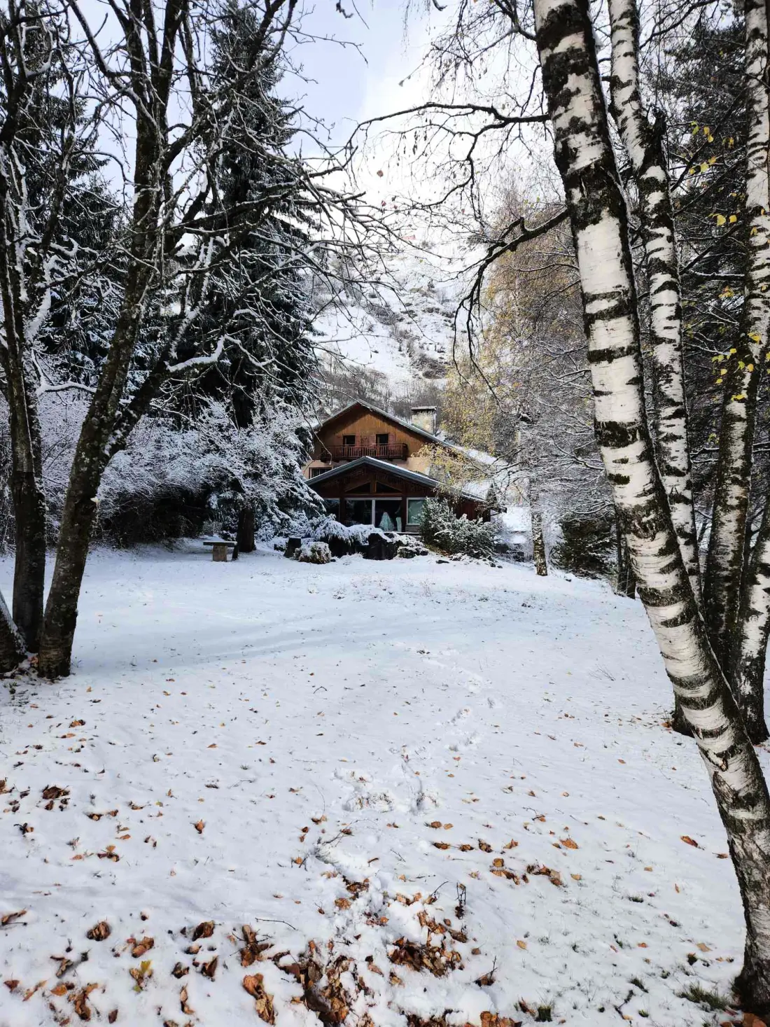 Chalet Silver