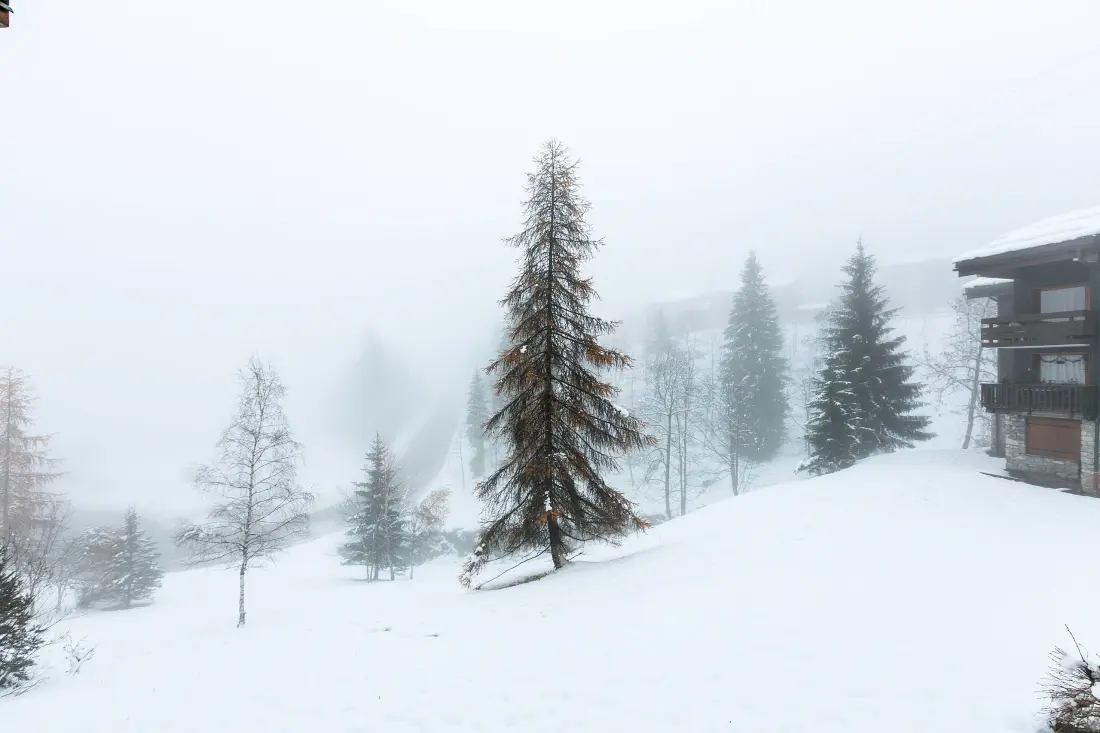 Residence Jardins D'hiver G