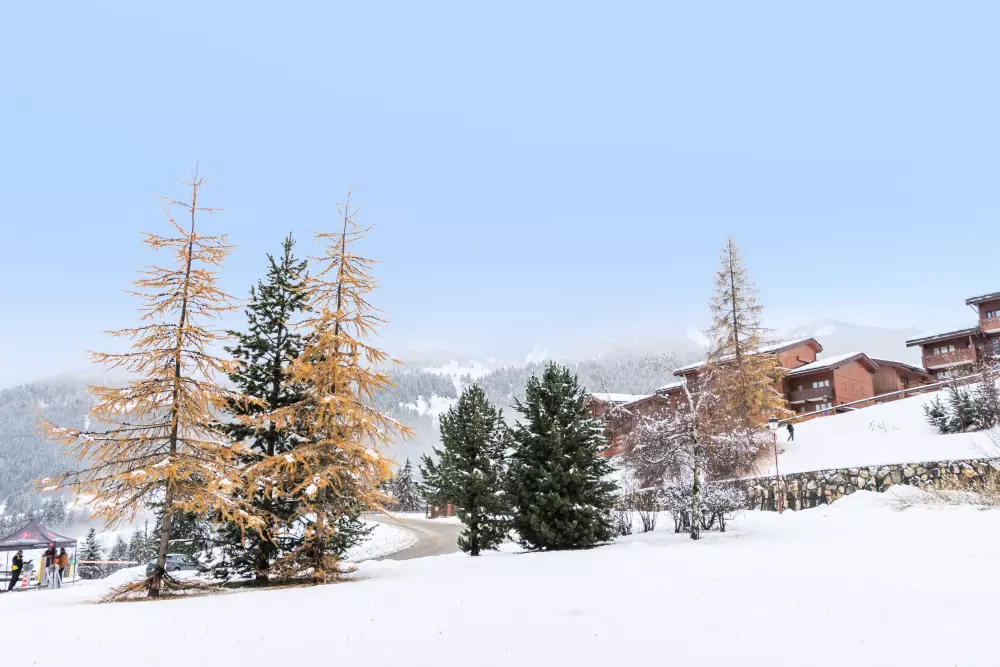 La Forêt kerület - maeva Home