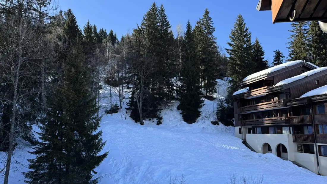Residence Sapiniere