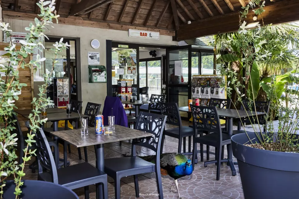 Camping maeva Club Les Jardins du Morbihan 4 Estrellas★★★★