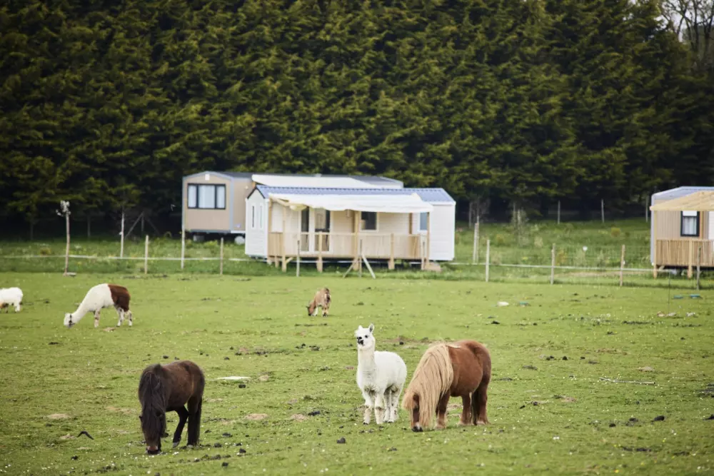 Camping maeva Club Les Jardins du Morbihan 4 Estrellas★★★★