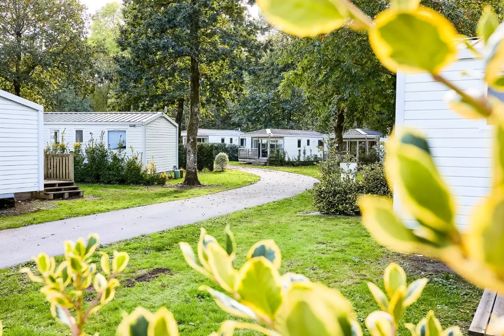 Camping maeva Club Les Jardins du Morbihan 4 Estrellas★★★★