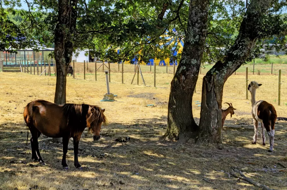 Camping maeva Club Les Jardins du Morbihan 4 Estrellas★★★★