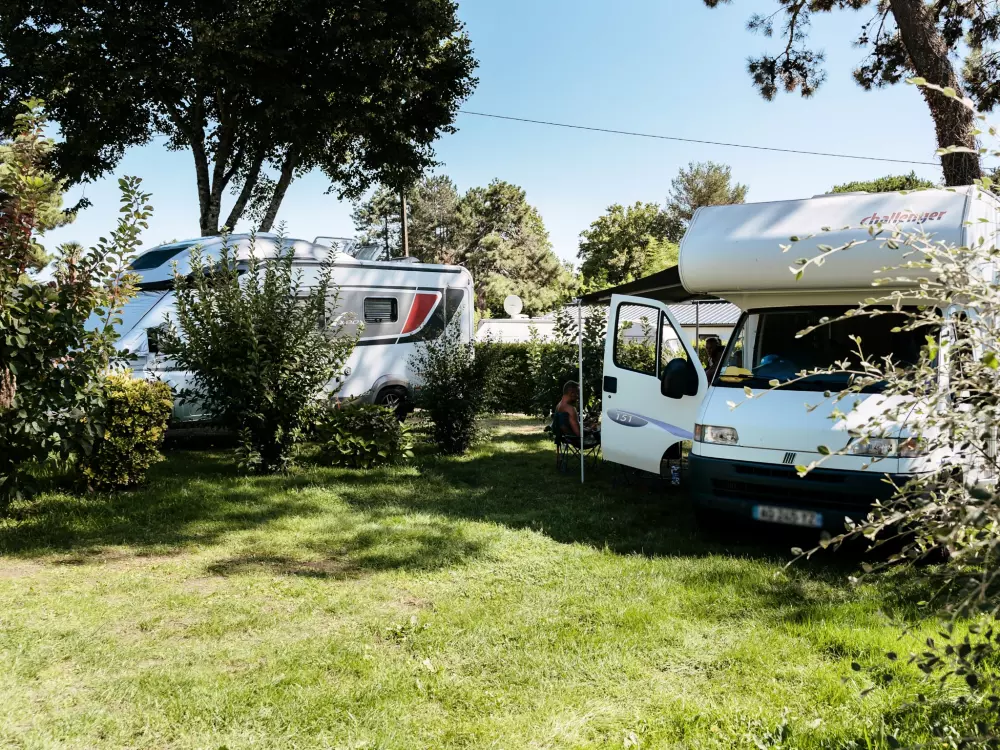 Flor Camping Le Conleau 4 Estrellas★★★★