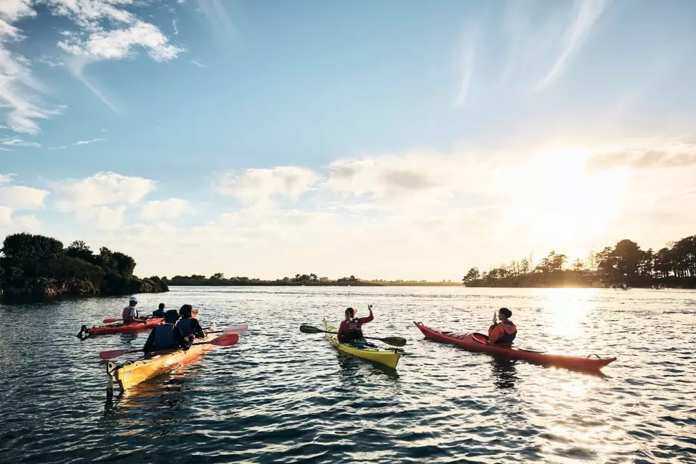 Flor Camping Le Conleau 4 Estrellas★★★★