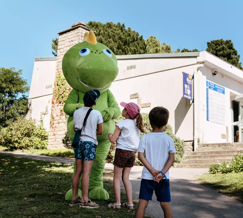 Flor Camping Le Conleau 4 Estrellas★★★★