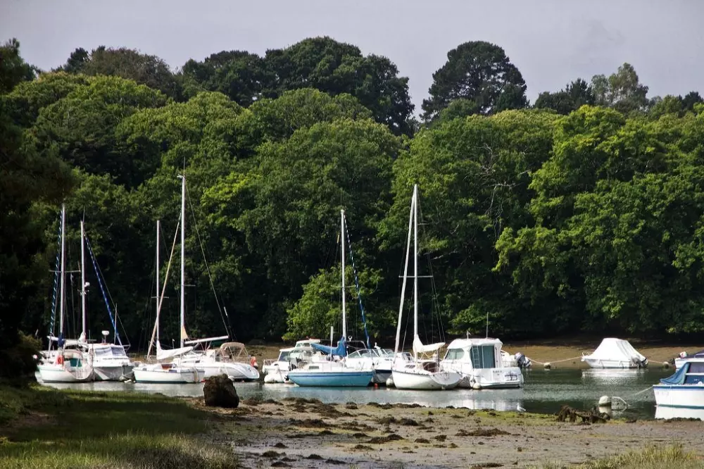 Flor Camping Le Conleau 4 Estrellas★★★★