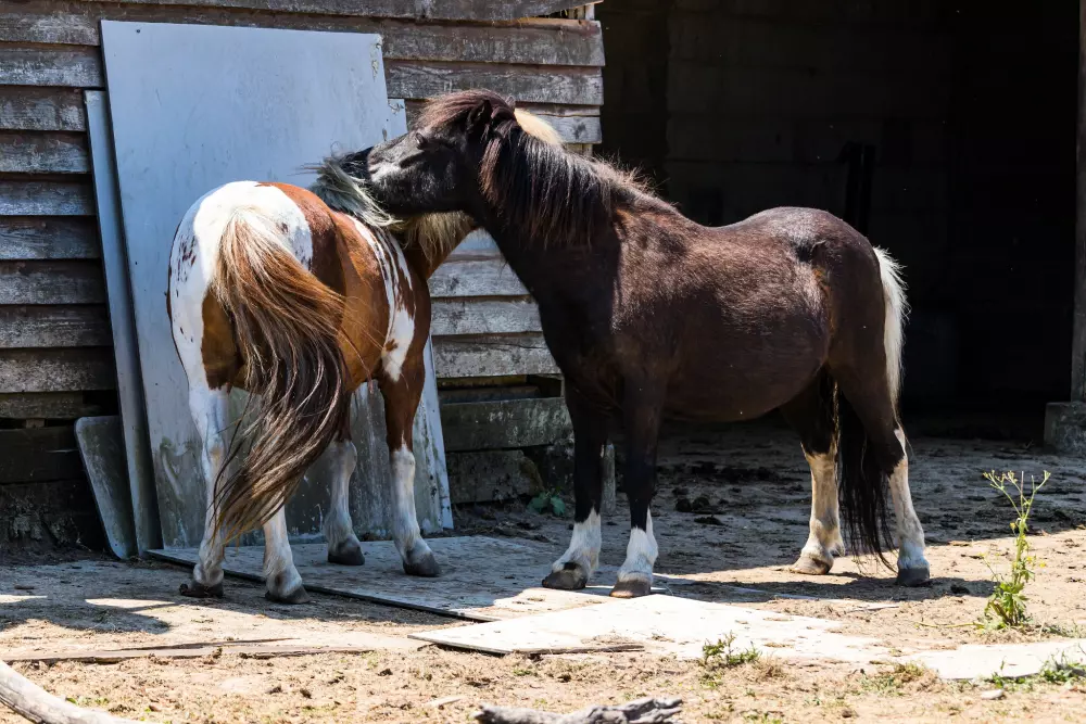 Camping Le Domaine de la Brèche