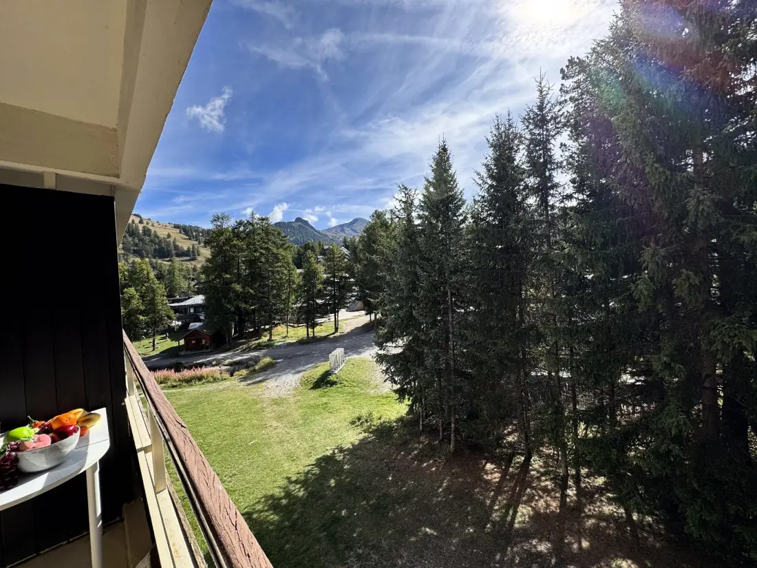 Verblijf Les Ecrins 3