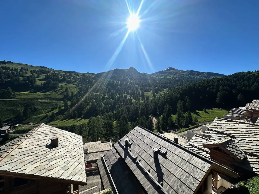 Chalet Padischa