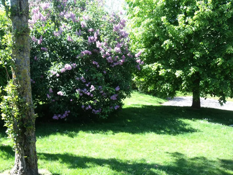 Gîte de France Gîtes de fance® - les lilas 2 épis