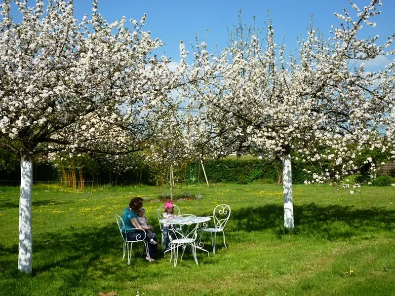 Gîte de France Gîtes de france® - au merle mockeur 3 épis