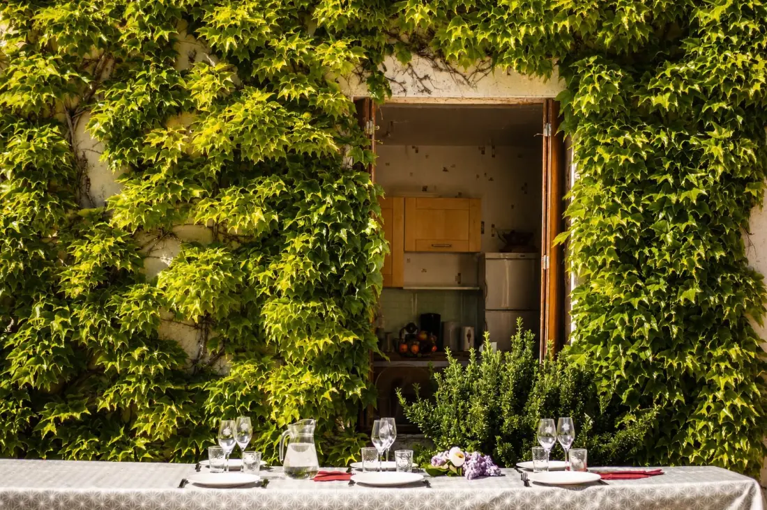 Gîte de France Der Rand der Reben 3 Ohren