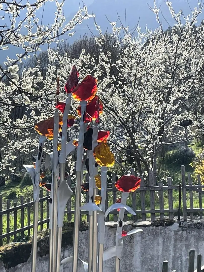 Gîte de France Der Obstgarten 3 Ohren