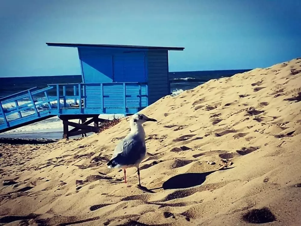 Camping Ushuaia Villages La Chesnays 4 Estrellas★★★★