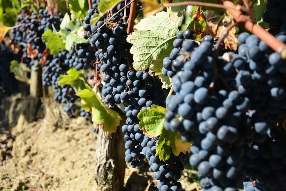 Camping Ushuaia Villages La Chesnays 4 Estrellas★★★★