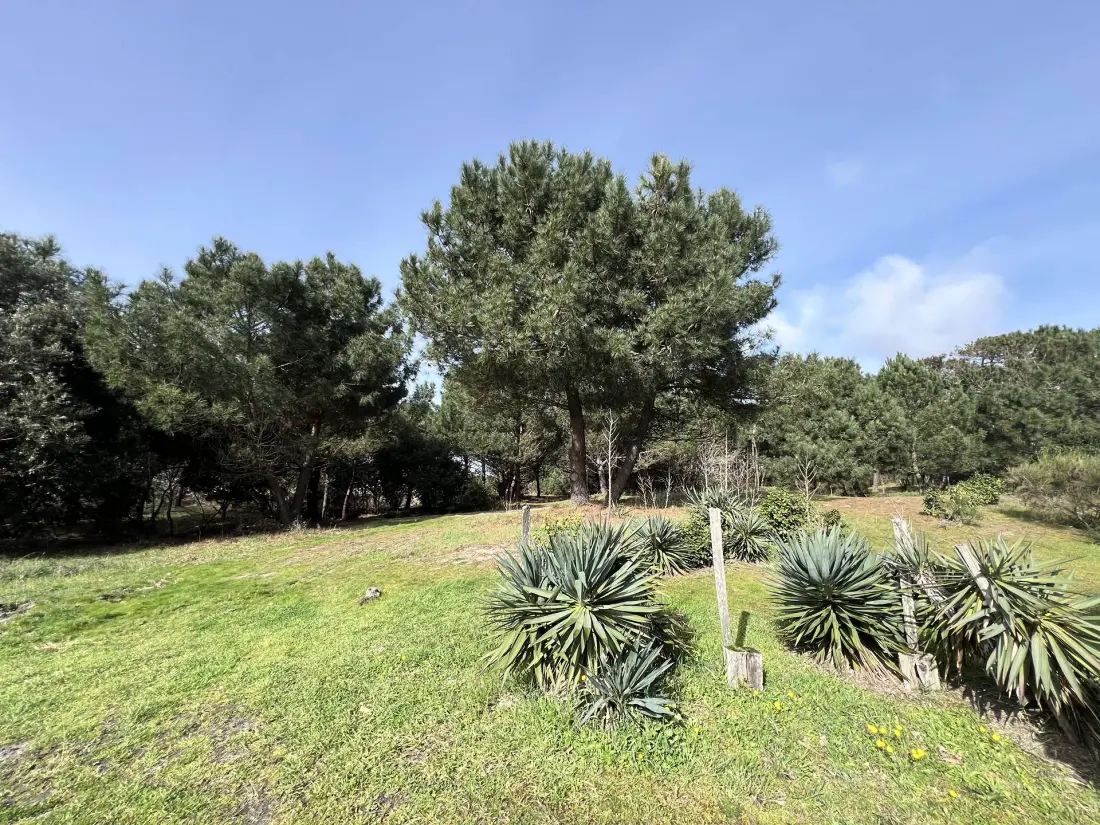 Residence 058-montalivet