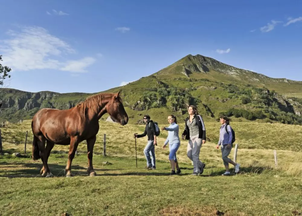 VVF Umsatz 3 Sterne★★★