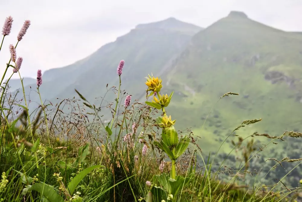 VVF Umsatz 3 Sterne★★★