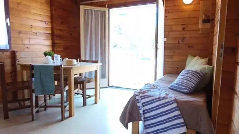 VVF Umsatz 3 Sterne★★★