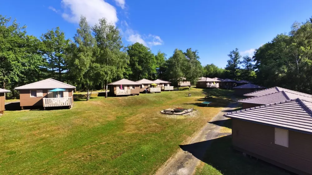 VVF Umsatz 3 Sterne★★★