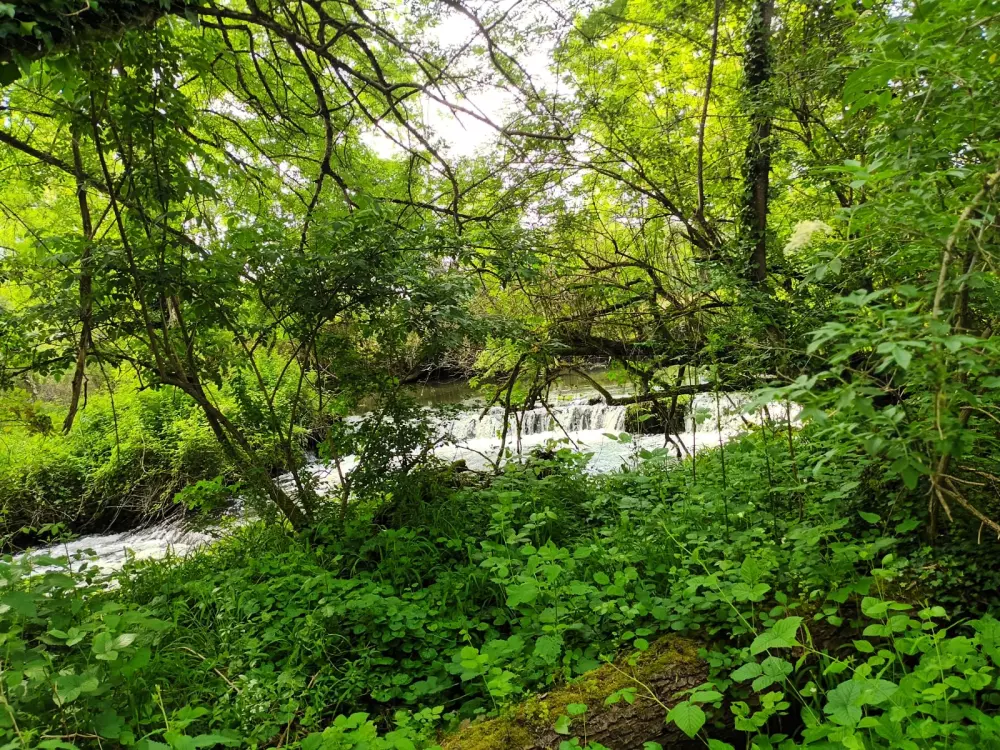 Campingpladser i Tourbières