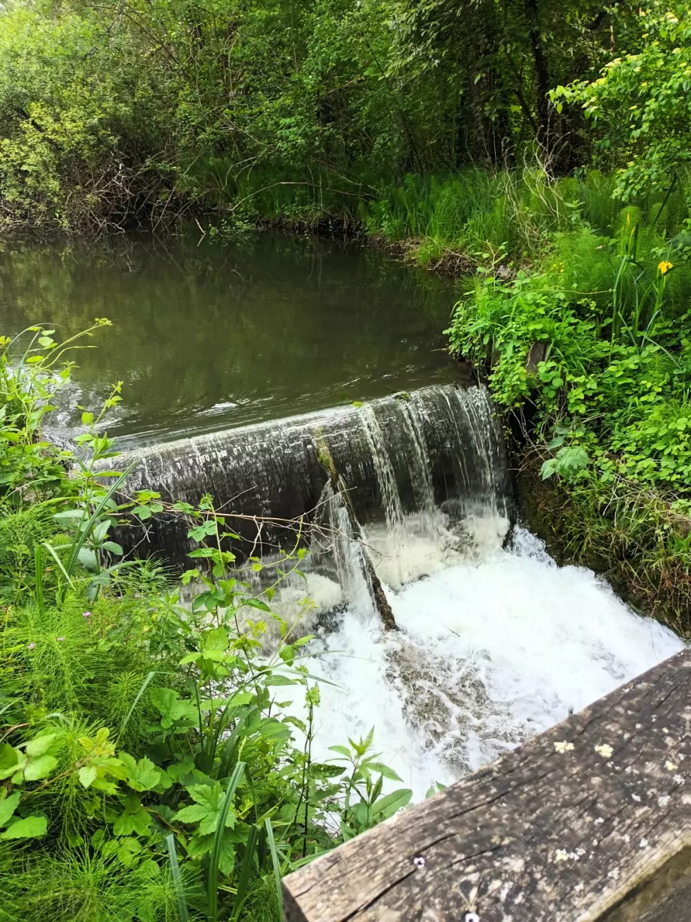 Campingpladser i Tourbières